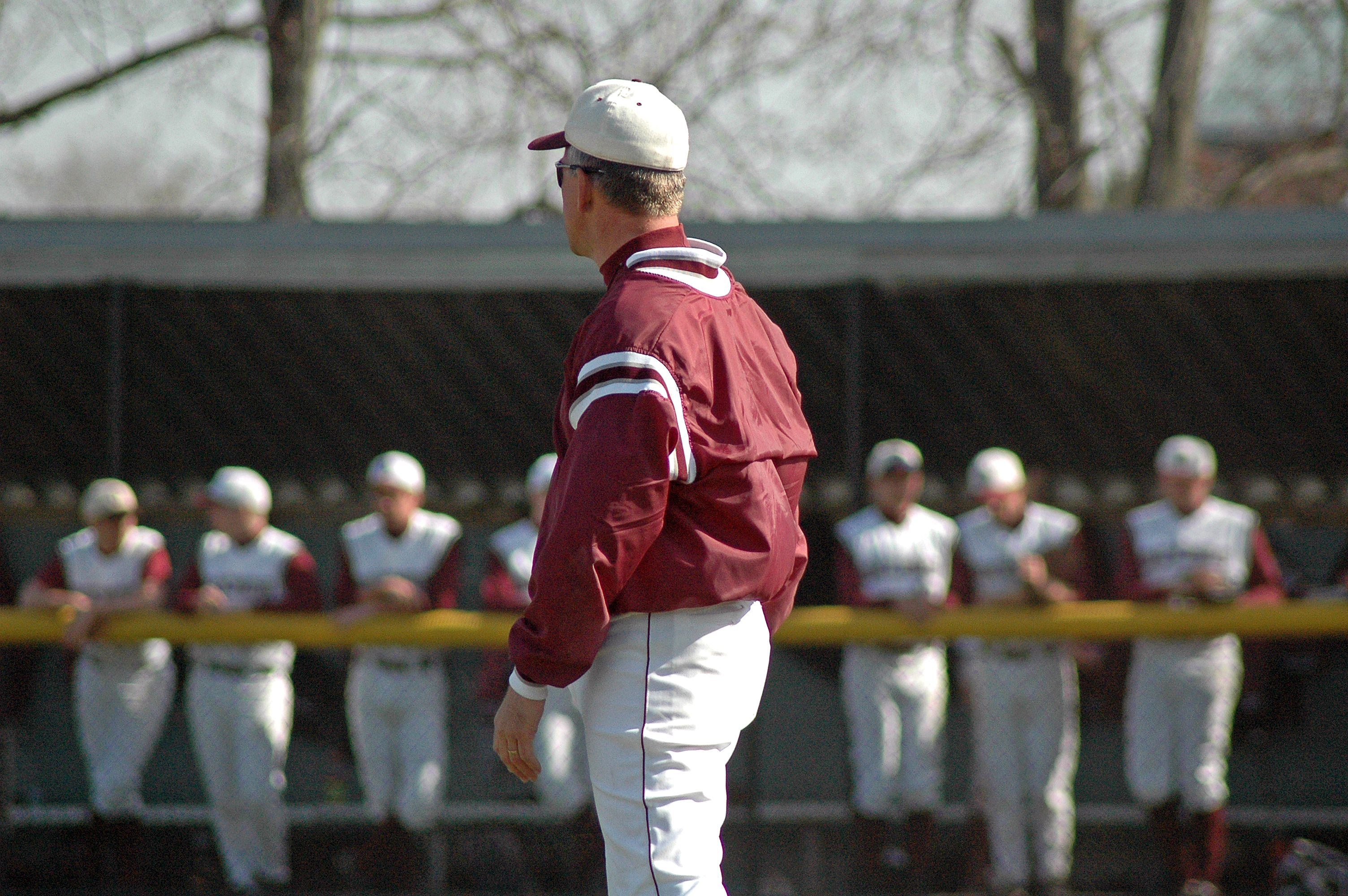 Baseball and Softball professionals